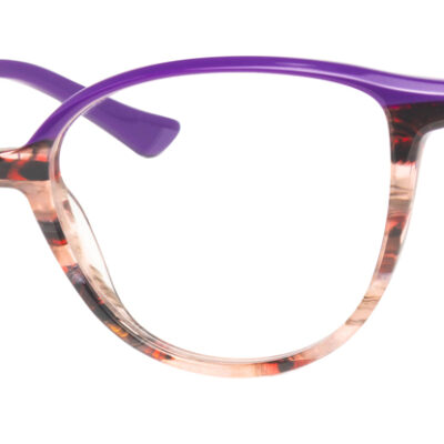 Synergy Glasses 6071