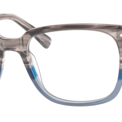 Synergy Glasses 6072
