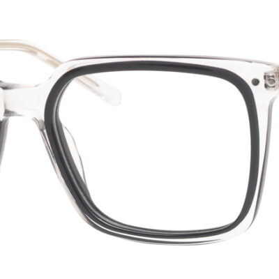 Synergy Glasses 6073
