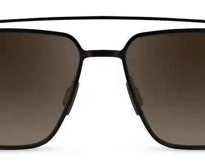 Range Rover Sunglasses RRS 119