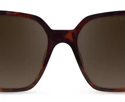 Cocoa Mint Sunglasses CMS 2162