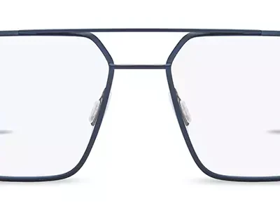 Range Rover Glasses RR 3073M