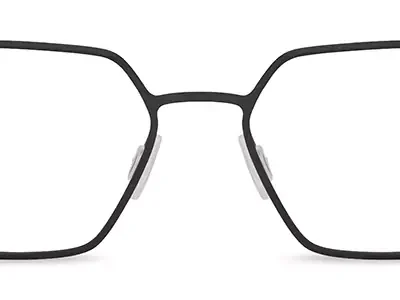 Range Rover Glasses RR 3074M