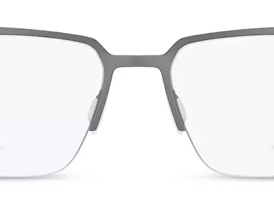 Range Rover Glasses RR 3077M