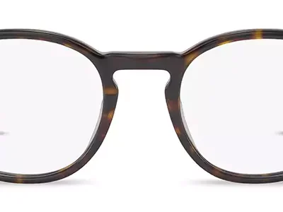 Range Rover Glasses RR 3078A