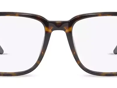 Range Rover Glasses RR 3079A