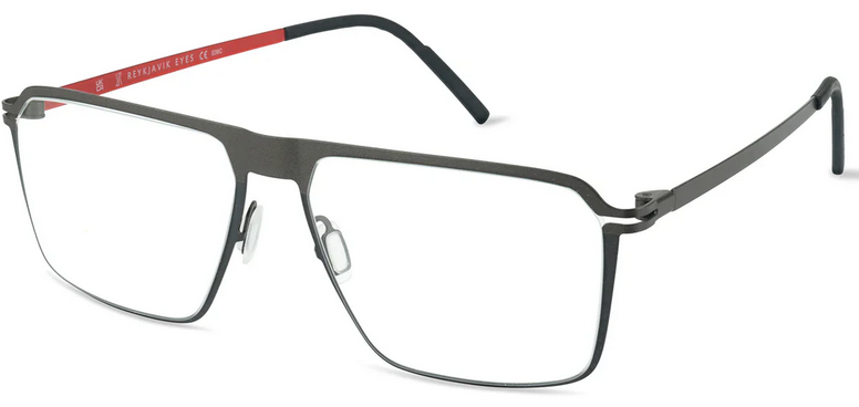 Reykjavik-Eyes-Glasses-Bjorn-Gun
