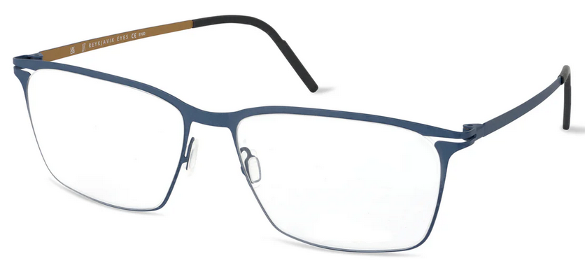 Reykjavik Eyes Tomas Navy Bronze Titanium Glasses"