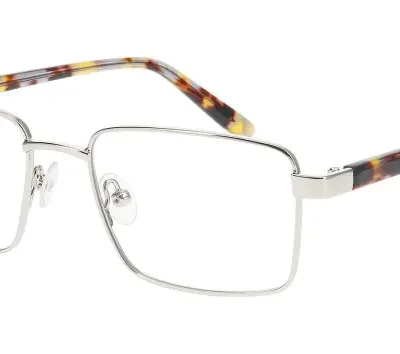 Nifties Glasses NI 8563 Silver 1012