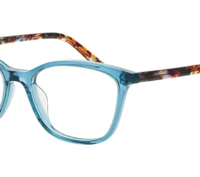 Nifties Glasses NI 9535 Col 9325