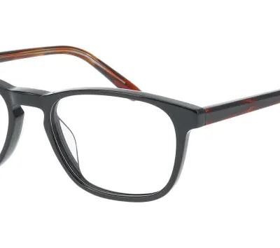 Nifties Glasses NI 9550 Black 6032