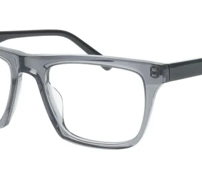 Nifties Glasses NI 9552 Grey 6525