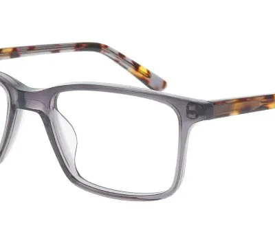 Nifties Glasses NI 9555 Grey 6535