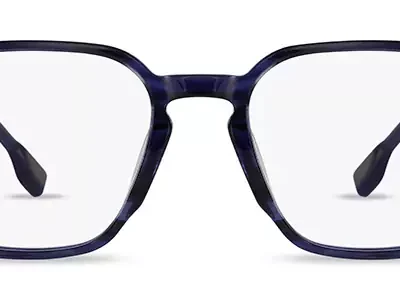 Land Rover Glasses Digby Blue Striation