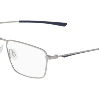 Nike Glasses 4319 Satin Silver